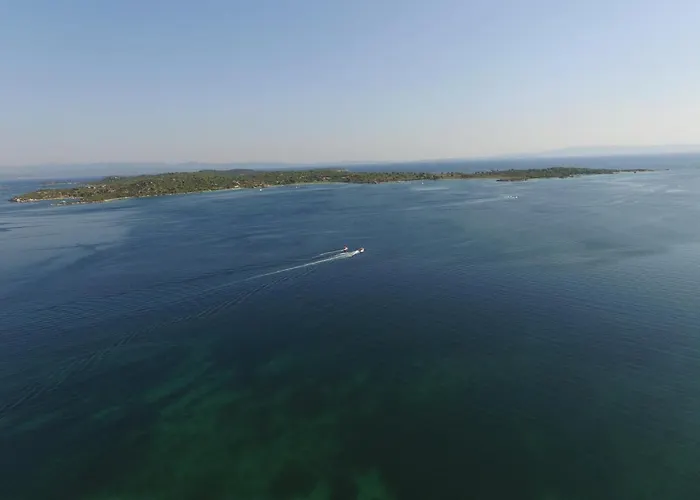 Plateia *